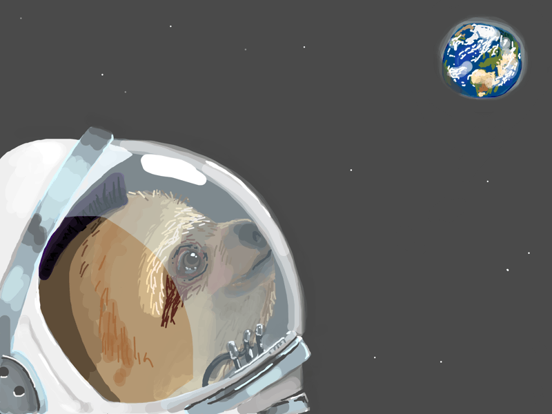 A sloth in space suit looking down at the Earth
