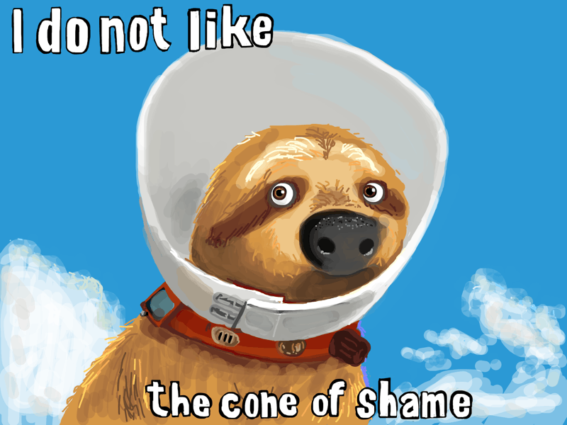 Pastiche of Dug from Pixar's Up wearing the cone of shame, except it's a sloth